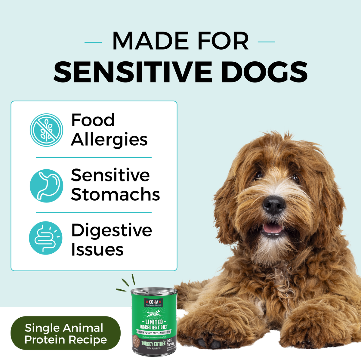 Graphic with a light blue background and a dog laying down next to a can of KOHA food. The copy says Made for Sensitive Dogs. In a box, the bullets say Food Allergies, Sensitive Stomachs, Digestive Issues. The bottom says Single Animal Protein. 
