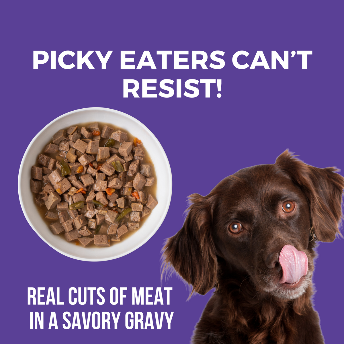 Image of dog licking its mouth with a bowl of slow cooked stew. Headline Picky Eaters Can't Resist and Real cuts of meat in a savory gravy.