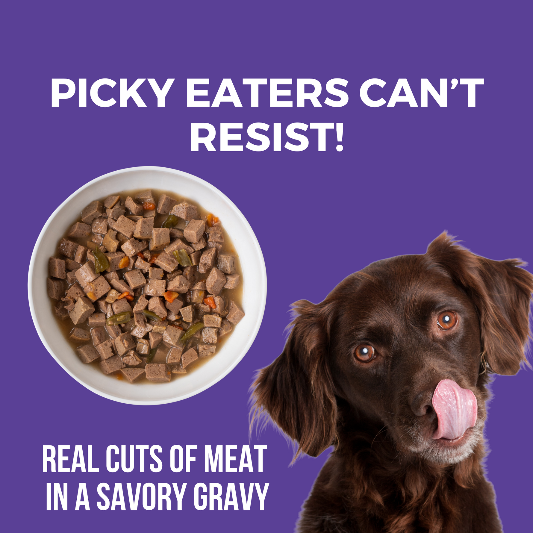 Image of dog licking its mouth with a bowl of slow cooked stew. Headline Picky Eaters Can't Resist and Real cuts of meat in a savory gravy.
