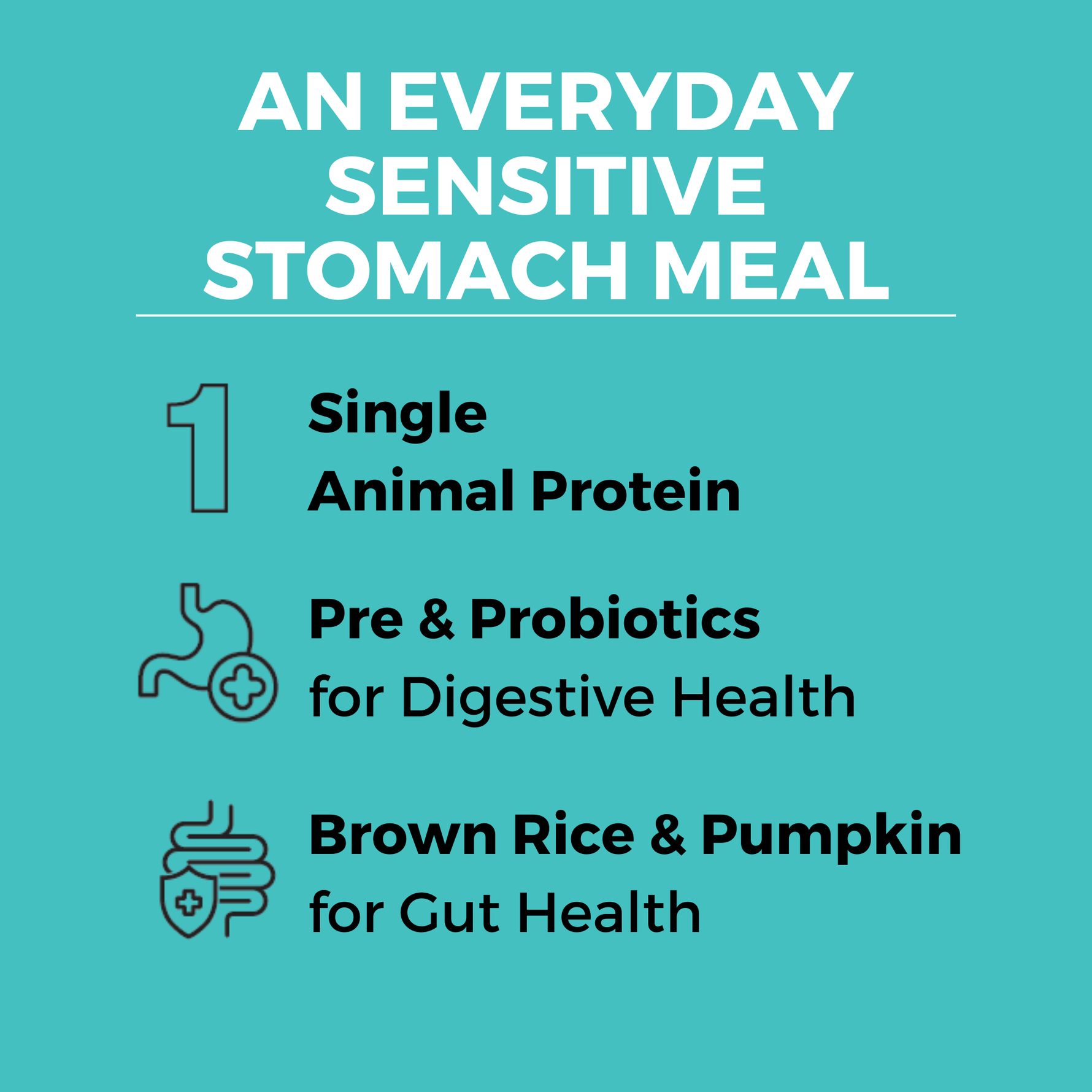 Graphic showing sensitive stomach dog food with 1 animal protein, pre & probiotic, and brown rice & pumpkin for gut health