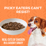 Minimal Ingredient Chicken Stew for Dogs