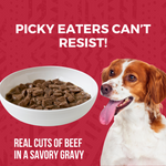 Minimal Ingredient Beef Stew for Dogs