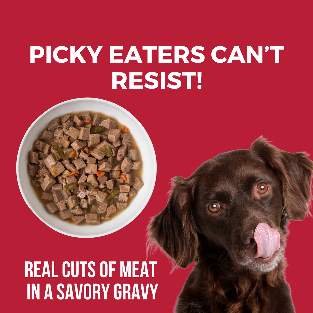 Image of dog licking its mouth with a bowl of slow cooked stew. Headline Picky Eaters Can't Resist and Real cuts of meat in a savory gravy.