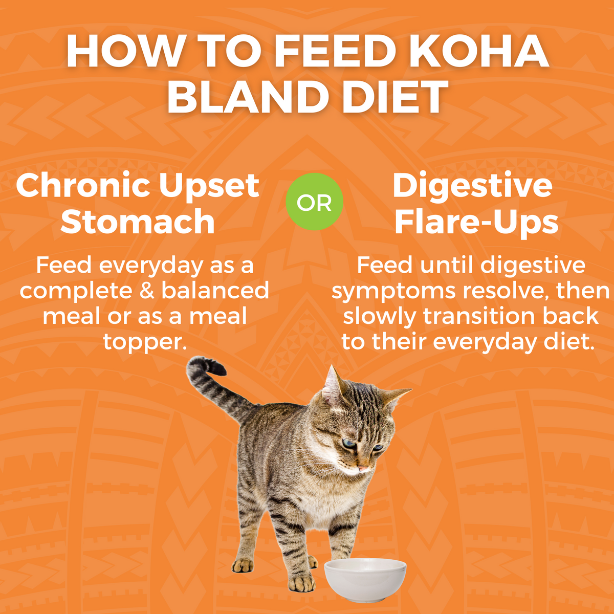 Graphic showing how to feed KOHA Bland Diet Wet Food for Cats for chronic upset stomachs or digestive flare-ups, either as a complete and balanced meal, meal topper, or temporary digestive support.