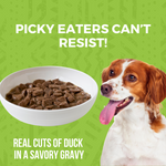 Minimal Ingredient Duck Stew for Dogs