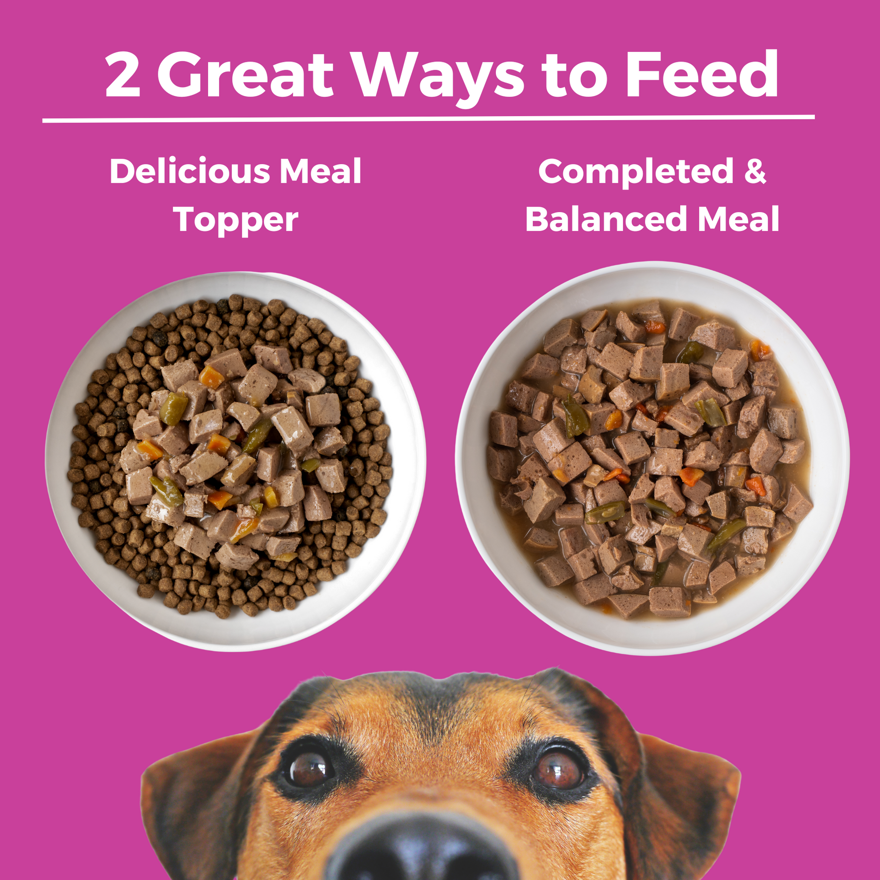 Two bowls of food with a headline that says 2 Great Ways to Feed. The first bowl has wet food on top of kibble and says delicious meal topper. The second bowl has all wet food and says complete and balanced meal. 