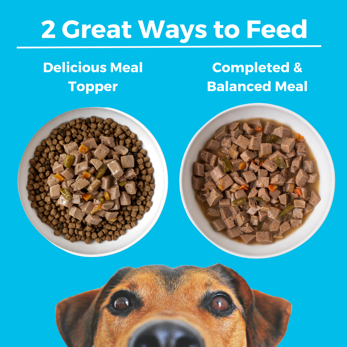 Two bowls of food with a headline that says 2 Great Ways to Feed. The first bowl has wet food on top of kibble and says delicious meal topper. The second bowl has all wet food and says complete and balanced meal. 