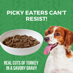 Minimal Ingredient Turkey Stew for Dogs