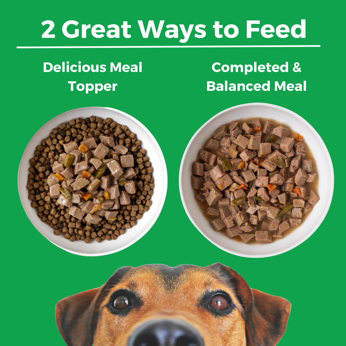 Two bowls of food with a headline that says 2 Great Ways to Feed. The first bowl has wet food on top of kibble and says delicious meal topper. The second bowl has all wet food and says complete and balanced meal. 
