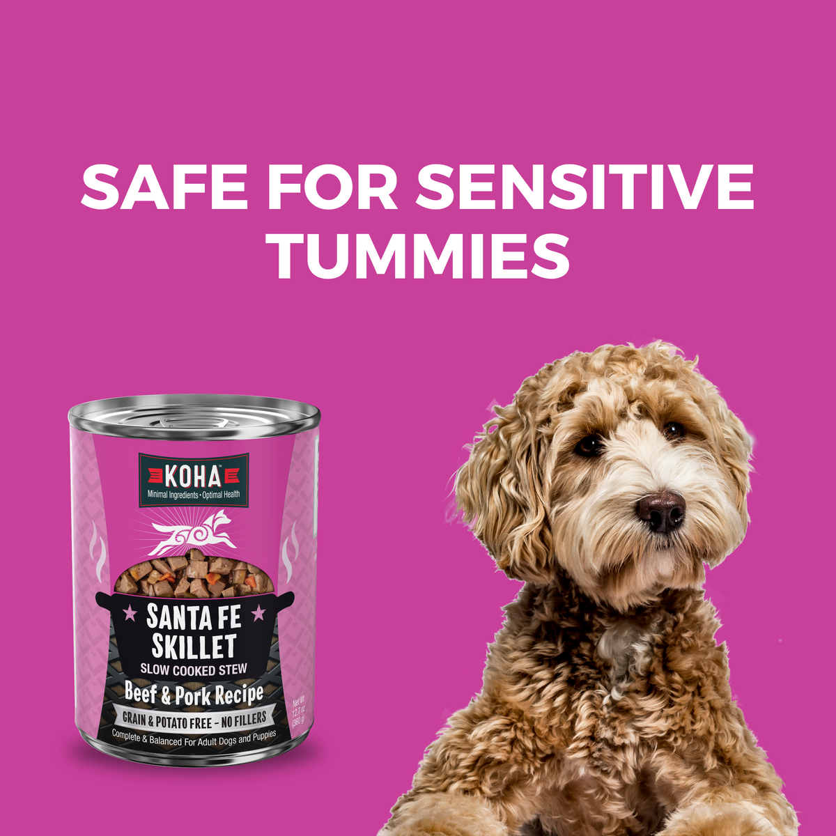 Can of KOHA Slow Cooked stew and a doodle dog with a headline Safe for Sensitive Tummies 