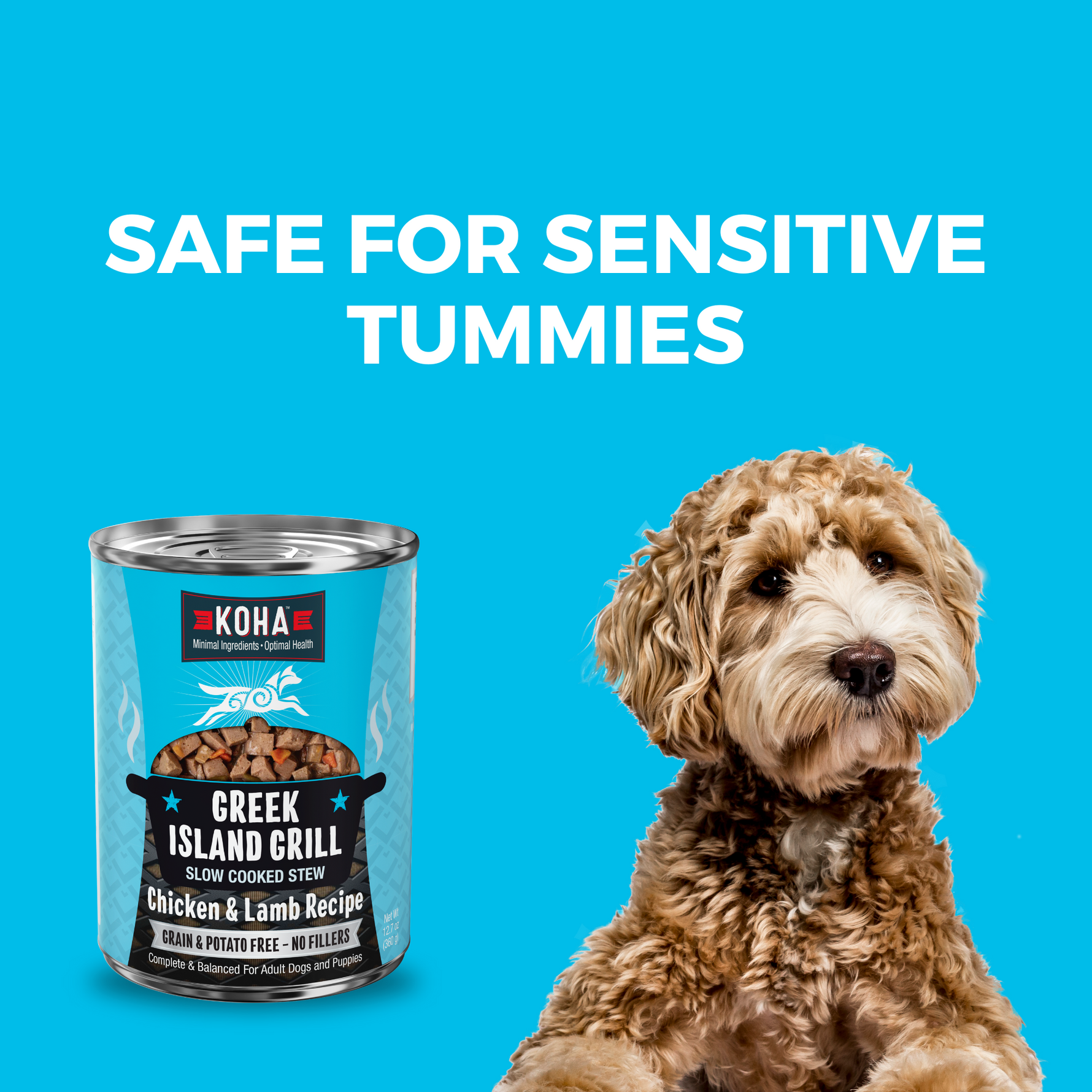 Can of KOHA Slow Cooked stew and a doodle dog with a headline Safe for Sensitive Tummies 