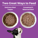 Kangaroo Dog Food: Limited Ingredient Diet Kangaroo Entrée for Dogs