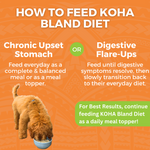 Limited Ingredient Bland Diet Chicken & White Rice Recipe for Dogs
