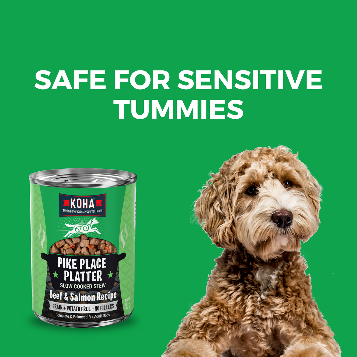 Can of KOHA Slow Cooked stew and a doodle dog with a headline Safe for Sensitive Tummies 