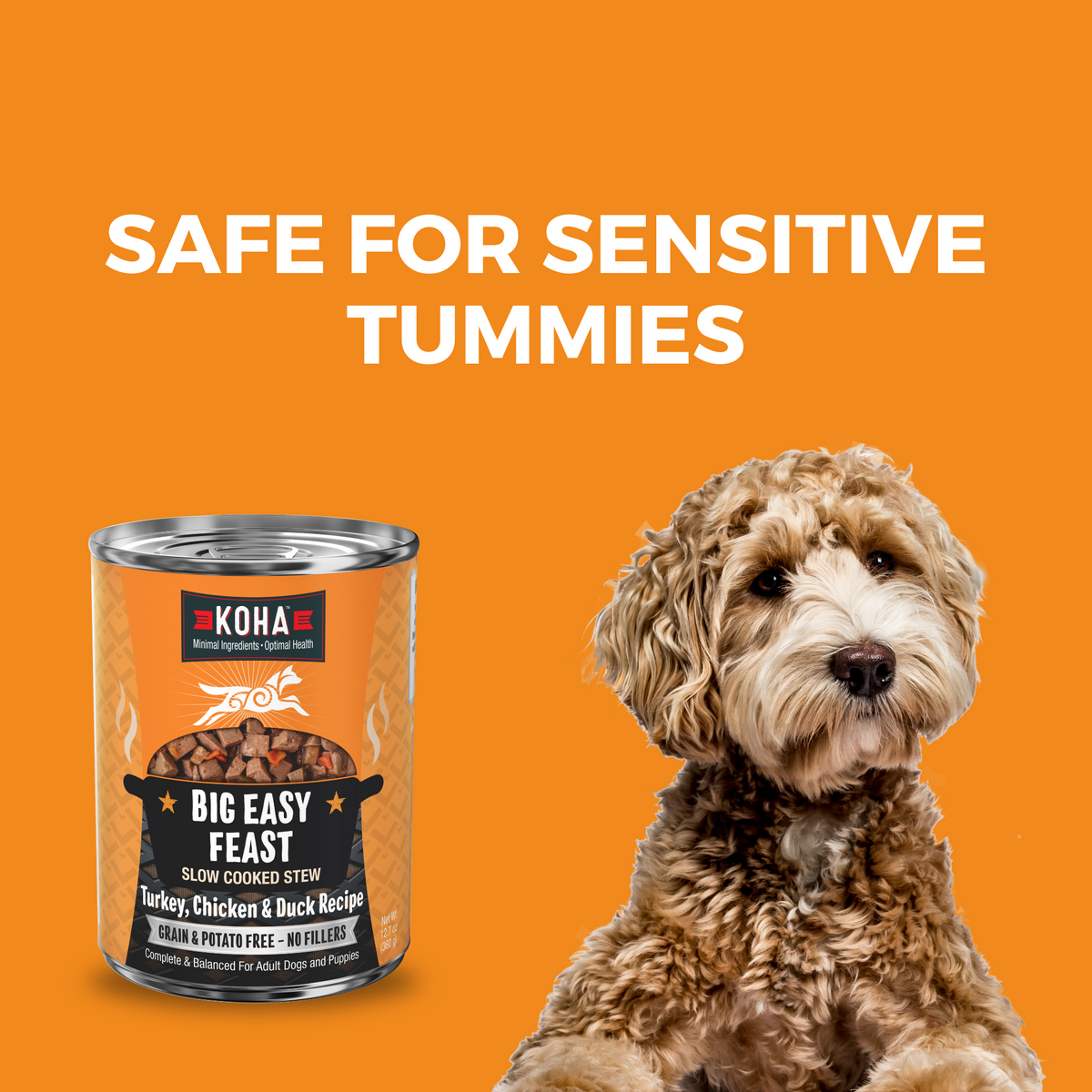Can of KOHA Slow Cooked stew and a doodle dog with a headline Safe for Sensitive Tummies 