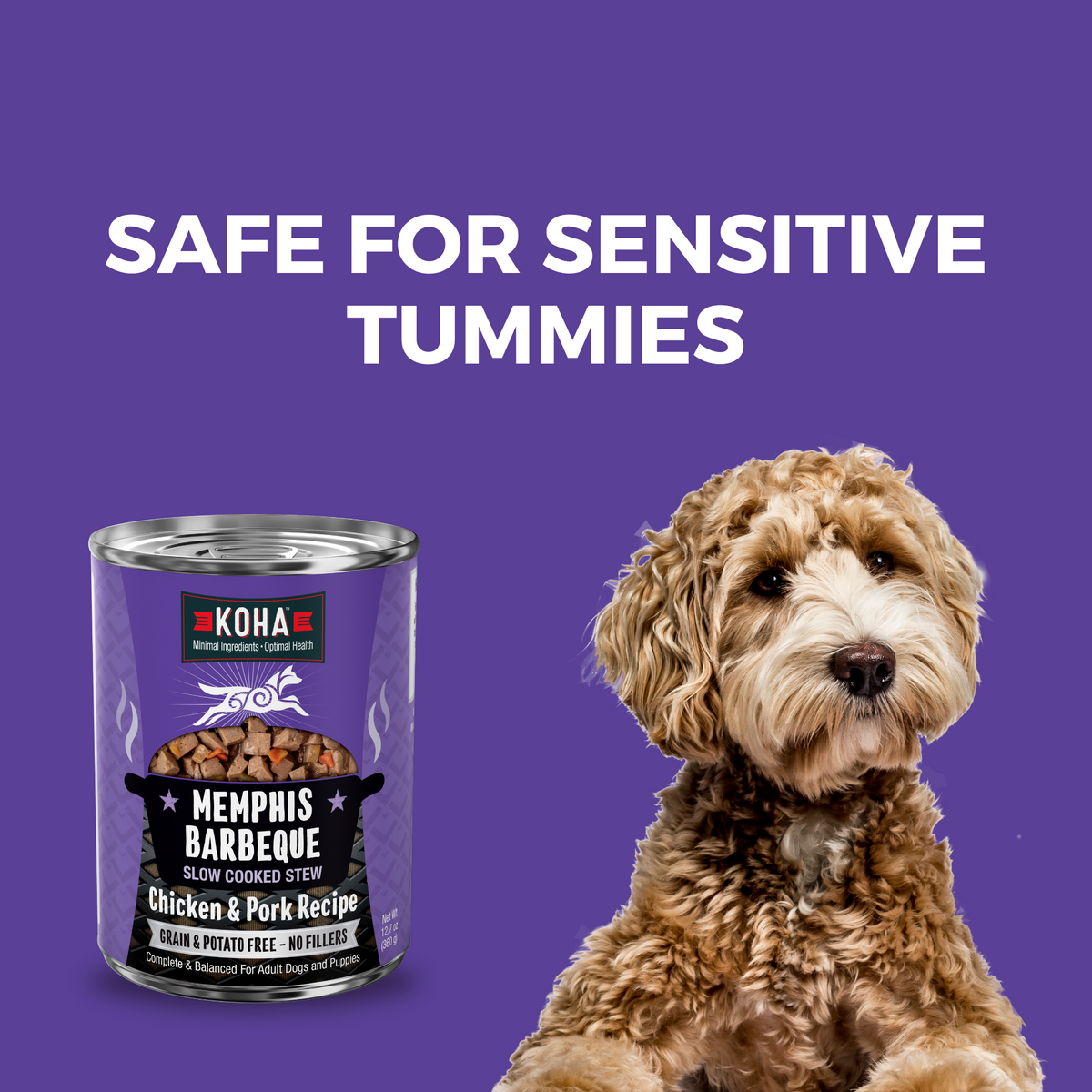 Can of KOHA Slow Cooked stew and a doodle dog with a headline Safe for Sensitive Tummies 