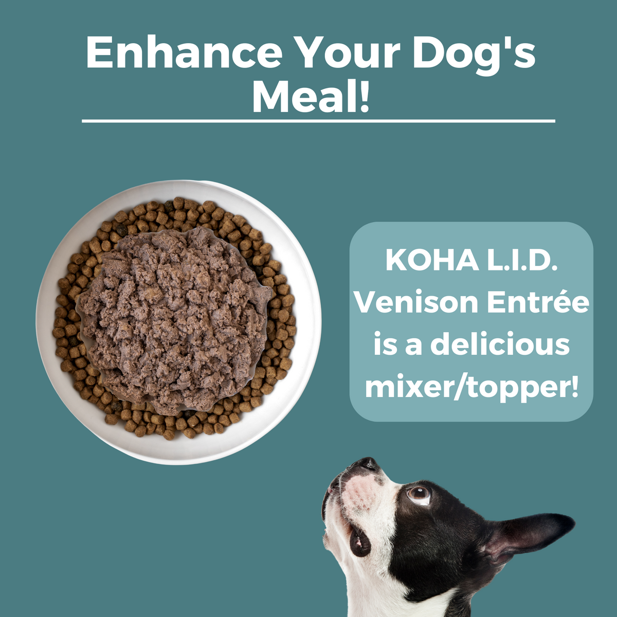 Limited Ingredient Diet Venison Entrée For Dogs | KOHA Pet