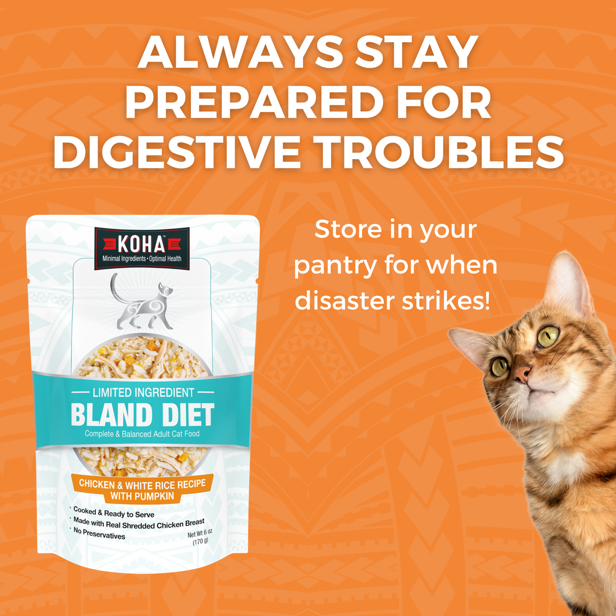 Graphic highlighting KOHA Bland Diet Wet Food for Cats as a ready-to-serve option for digestive troubles and sensitive stomachs.