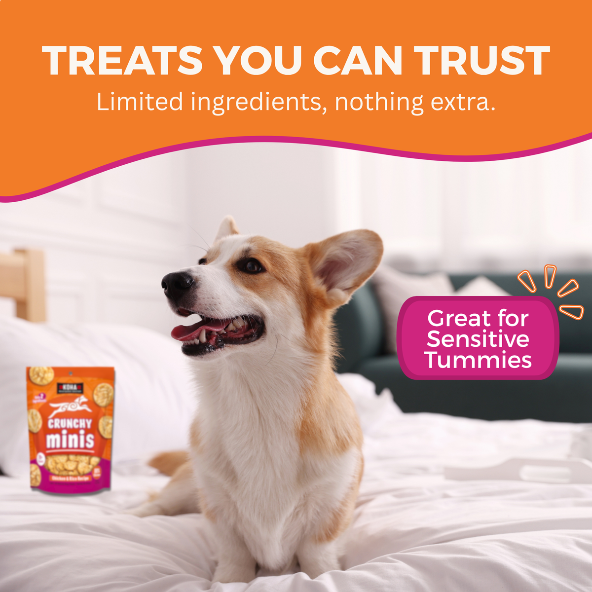 Dog sitting on a bed with a bag of KOHA crunchy minis next to it with text that says Treats you can trust - Limited Ingredients, nothing extra. And Great for sensitive tummies. 