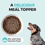 Graphic showing a dog and a bowl of dry food with the KOHA wet food over it. The copy says A delicious meal topper and mix with their favorite food. 