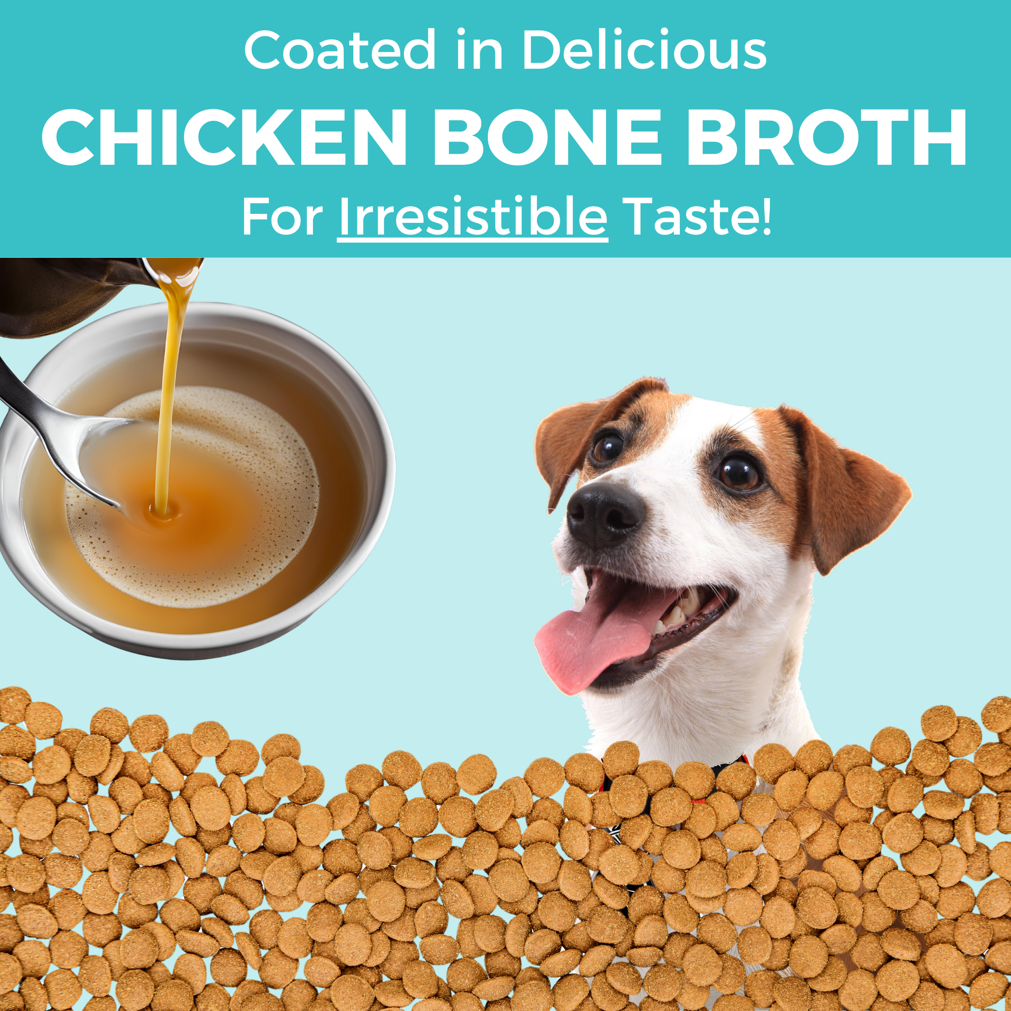 Limited Ingredient Dry Bland Diet Chicken & Brown Rice Recipe with Pumpkin for Dogs