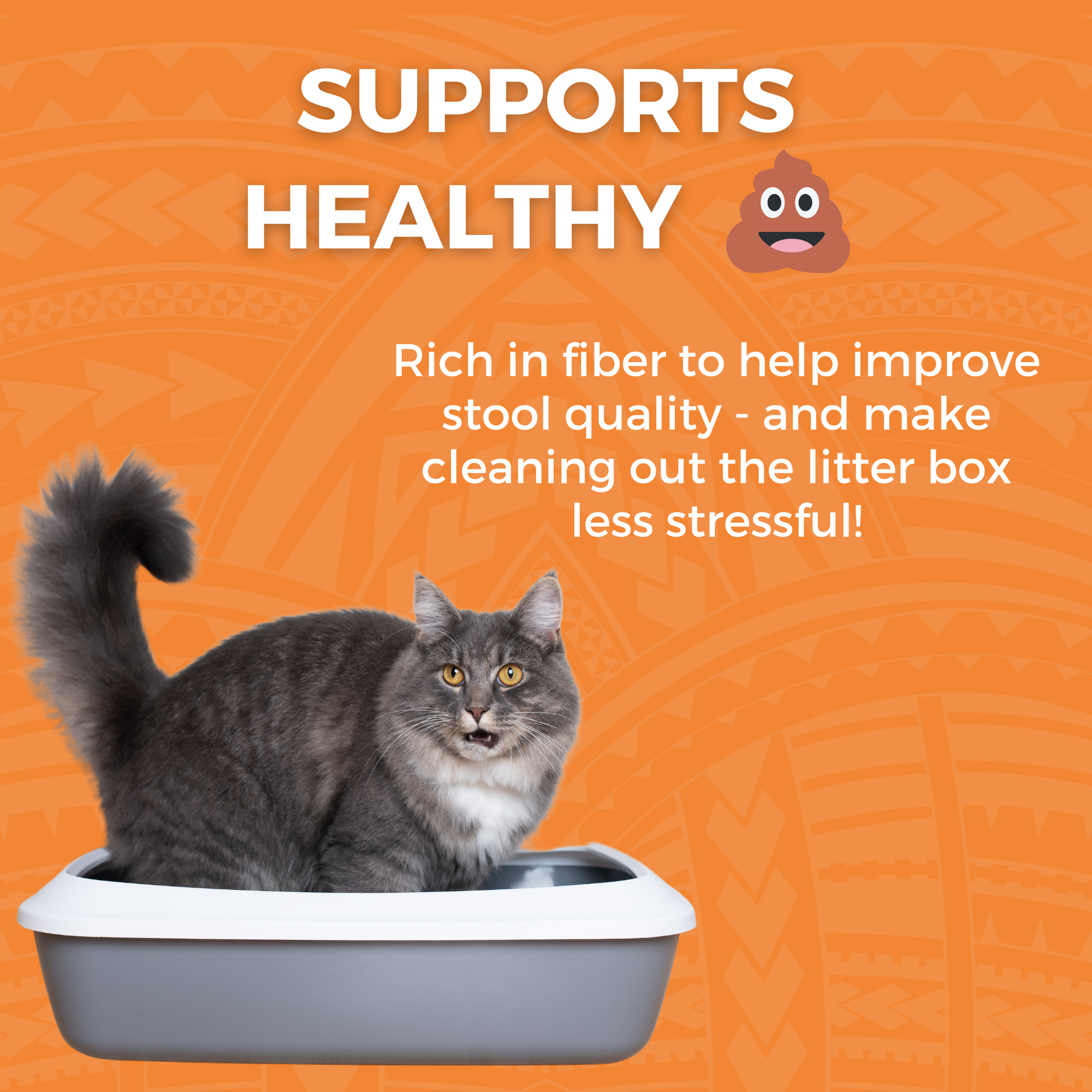 Graphic showing a cat in a litter box, highlighting how Bland Diet Wet Food for Cats supports healthy stools with fiber-rich nutrition.