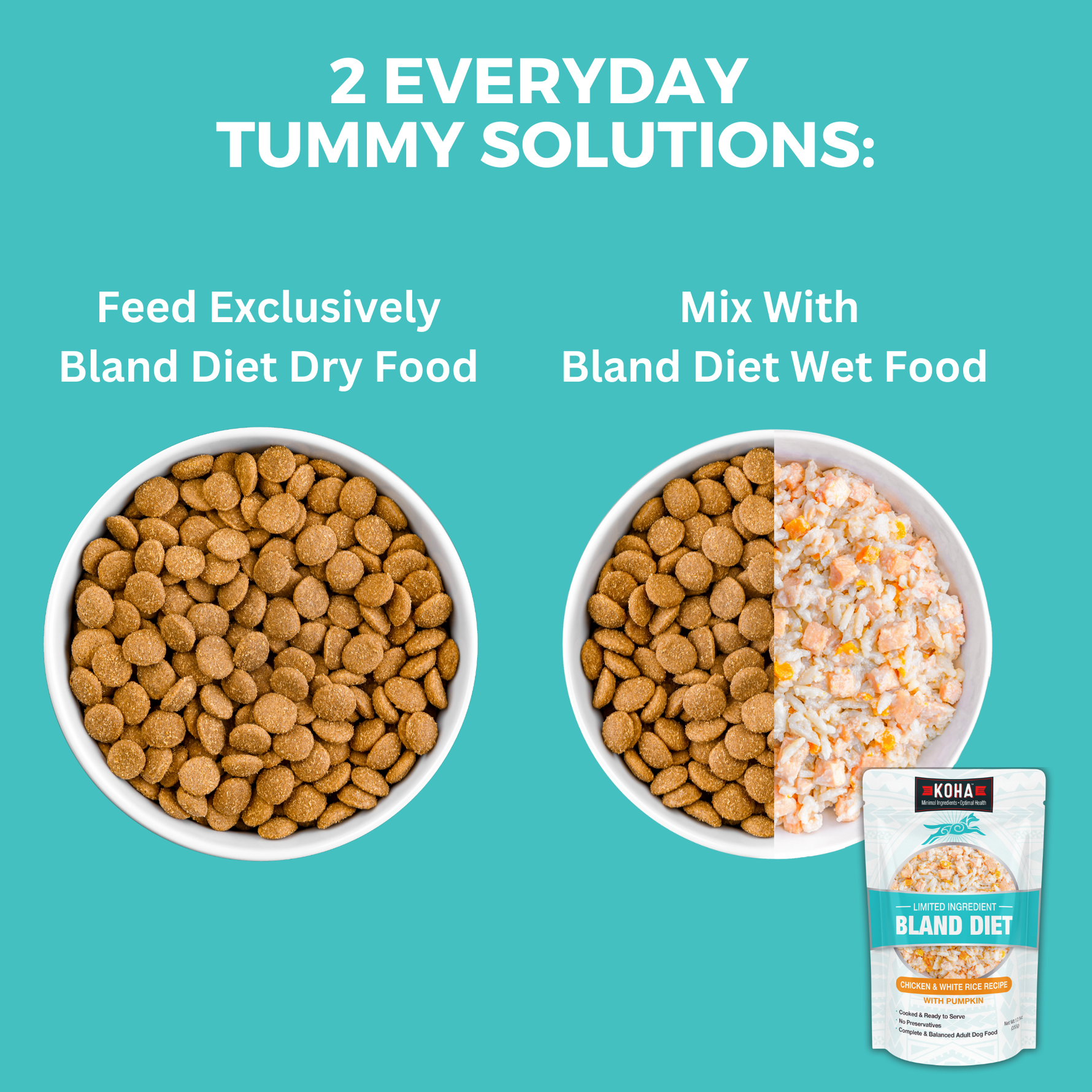 Graphic showing two everyday tummy solutions - feed bland diet exclusively or mix with wet food