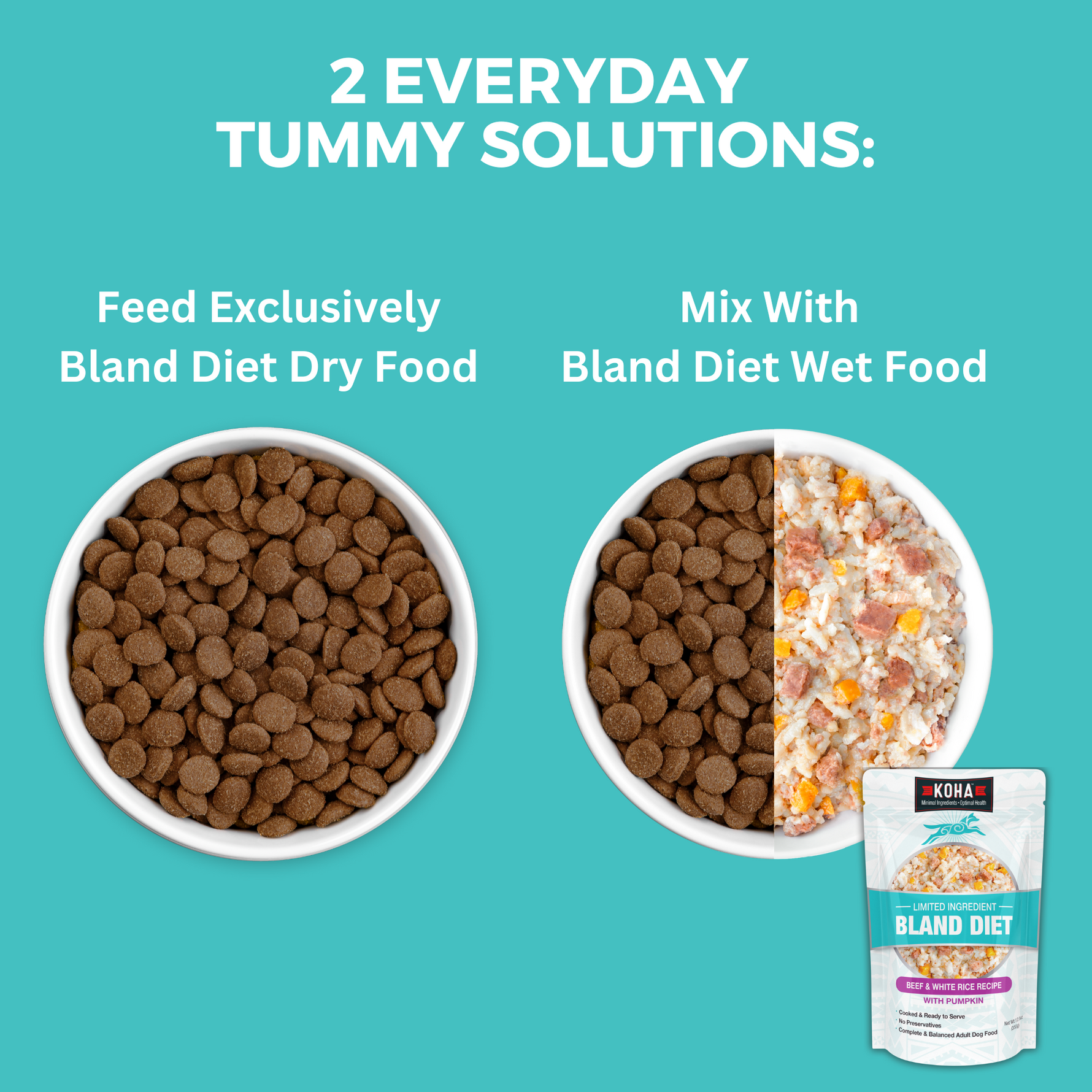 Graphic showing two everyday tummy solutions - feed bland diet exclusively or mix with wet food