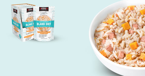 Two packages of Kola Bland Diet wet cat food shown next to a white bowl filled with the food, which contains rice, ham, and pumpkin pieces, on a light blue background.