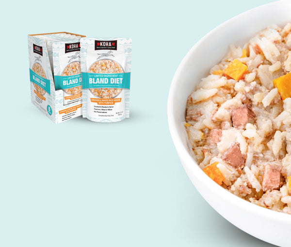 Two packages of KOHA Bland Diet wet dog food are shown next to a white bowl filled with the prepared food on a light blue background.