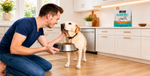A man kneels on a wooden kitchen floor, offering food from a metal bowl to a yellow Labrador retriever. A bag of Bland Diet dog food is visible on the kitchen counter in the background.