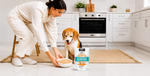 A woman bends down to feed a beagle dog a bowl of food, with a bag of KOHA Bland Diet dog food standing on the floor in a bright white kitchen.