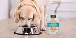 A golden retriever dog eating from a stainless steel bowl next to a package of KOHA Bland Diet dog food on a light wood floor.