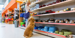 A woman looks down at her golden retriever as she shops for dog food bowls in a pet goods store.