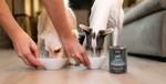 Two dogs eating from white bowls while hands refill the bowls, with a can of KOHA Limited Ingredient diet dog food standing on the floor nearby in a living room setting.