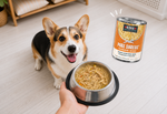 A corgi dog looks at a stainless steel bowl held by a hand, with a can of KOHA Pure Shreds wet dog food nearby on a light wood floor.