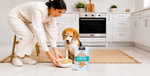 A woman in a white ribbed sweater and pants bends over a bowl of wet dog food next to a bag of KOHA BLAND DIET dog food in a bright, modern kitchen with white cabinets and a dog sitting nearby.