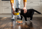 A person in a kitchen holds a yellow bowl for a black and white cat while petting it. A can of wet cat food sits on the wooden floor in the foreground.