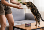 A person feeds a brown tabby cat standing on a wooden table, holding a white bowl. A can of cat food sits on the table in front of the cat.