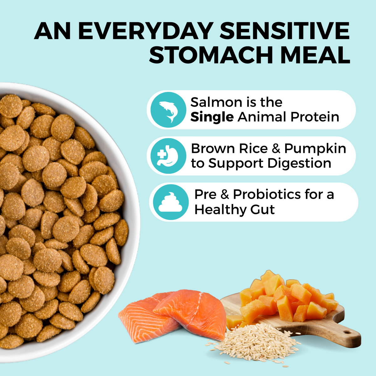 Graphic showing sensitive stomach dog food with 1 animal protein, pre & probiotic, and brown rice & pumpkin for gut health