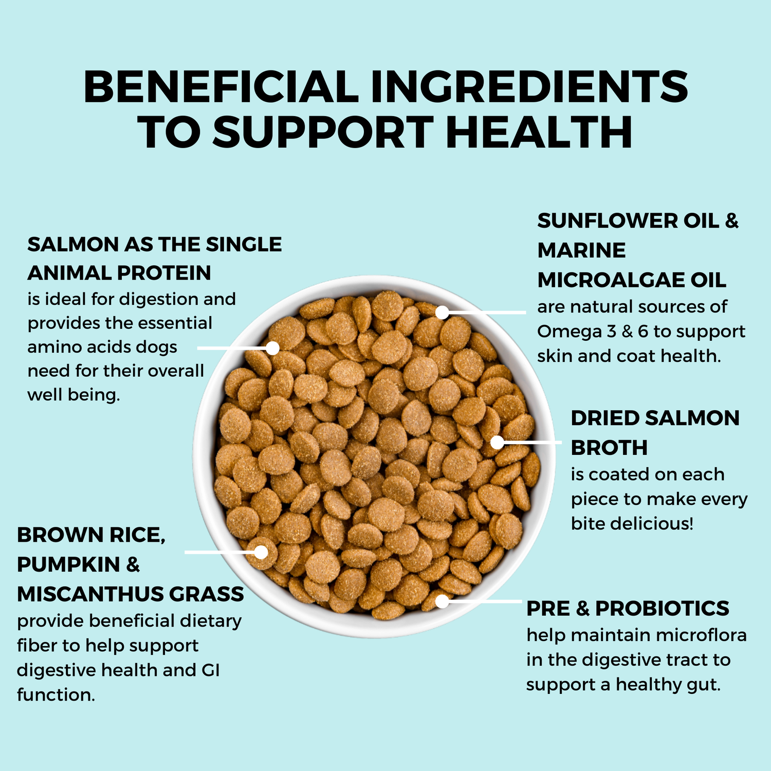 Graphic highlighting KOHA Dry Bland Diet ingredients, including salmon, pumpkin, probiotics, and Omega fatty acids to support digestion.