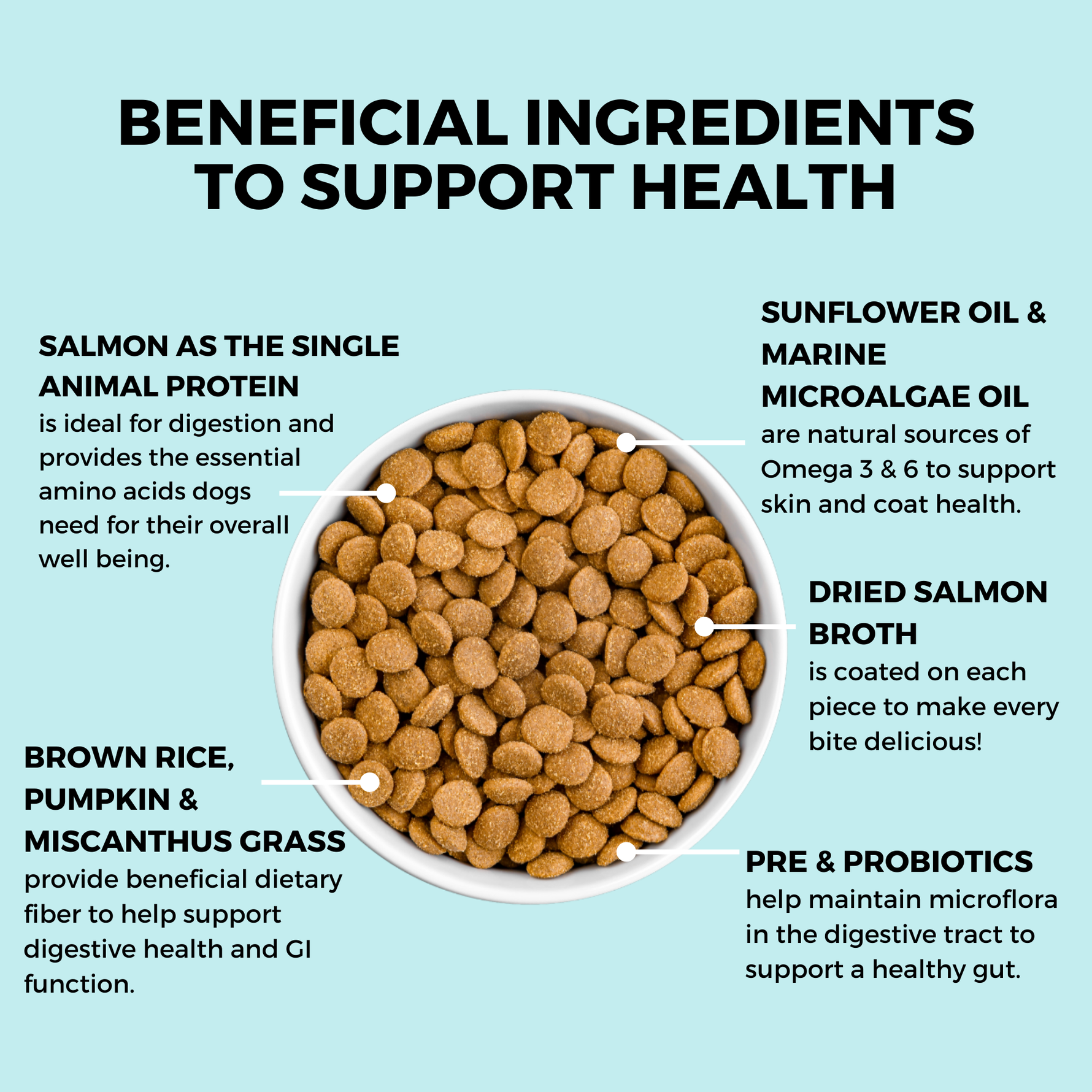 Graphic highlighting KOHA Dry Bland Diet ingredients, including salmon, pumpkin, probiotics, and Omega fatty acids to support digestion.
