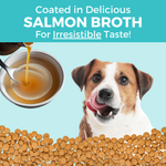 Limited Ingredient Dry Bland Diet Salmon & Brown Rice Recipe with Pumpkin for Dogs