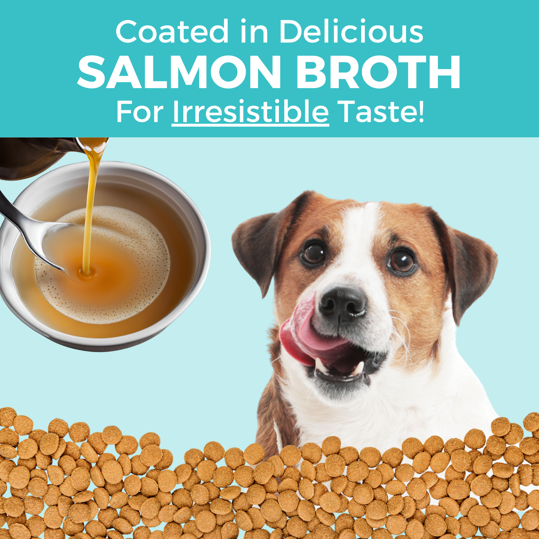 Image showing the delicious salmon bone broth coating