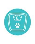 A teal circular icon containing a white line drawing of a scale with a paw print, centered on a light gray background.