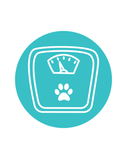 A teal circular icon containing a white line drawing of a scale with a paw print, centered on a light gray background.