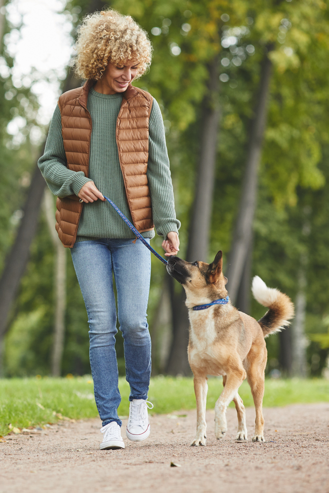 A woman with curly blonde hair walks a tan and white dog on a leash along a dirt path in a park. 
