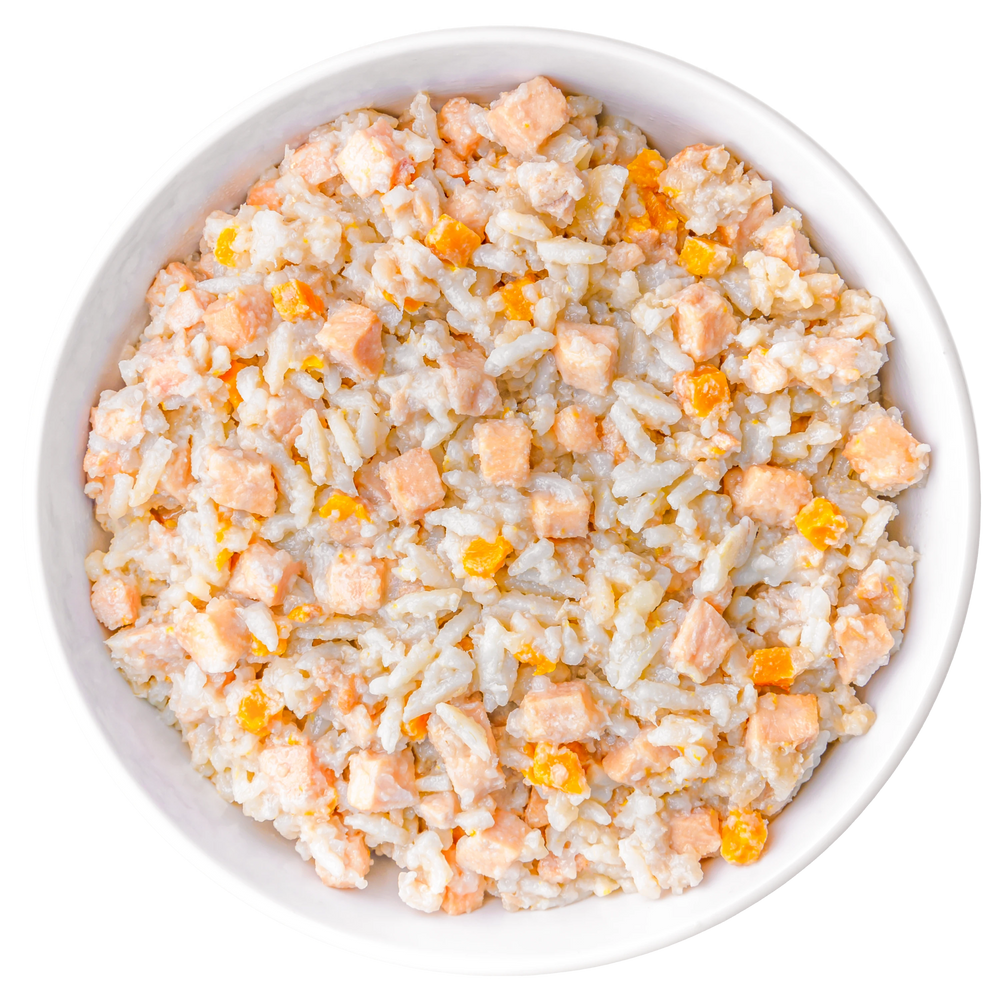 Bowl of KOHA Bland Diet Wet Food Chicken Recipe
