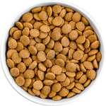 Limited Ingredient Bland Diet Beef & Brown Rice Recipe with Pumpkin for Dogs