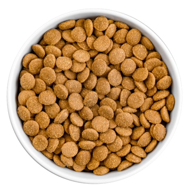 Bowl of Bland Diet Dry Food for Dogs